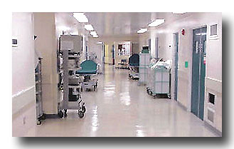 Ecological Coatings - Easy Clean | Mar Resistance | Stain Resistance 