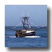 Boat Bottom Coating - 4000 Series